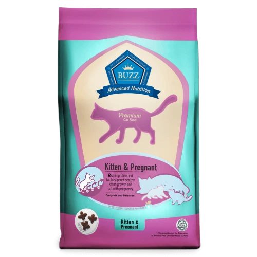 Buzz : Advanced Nutrition - Kitten and Pregnant