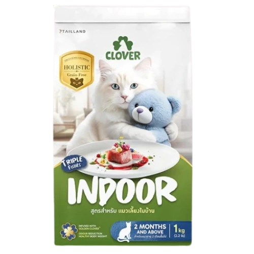 Clover : Indoor