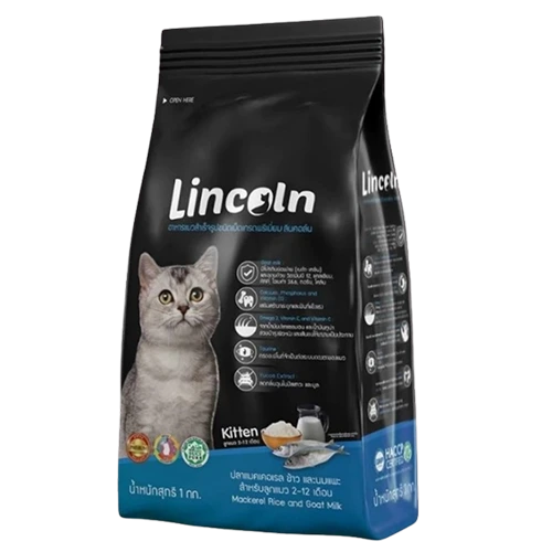 Lincoln : Kitten